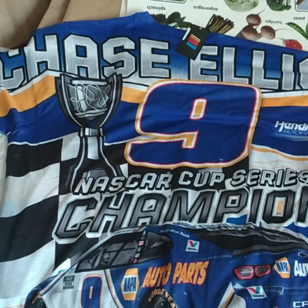 NEW  NASCAR  TOP - Picture 4 of 6